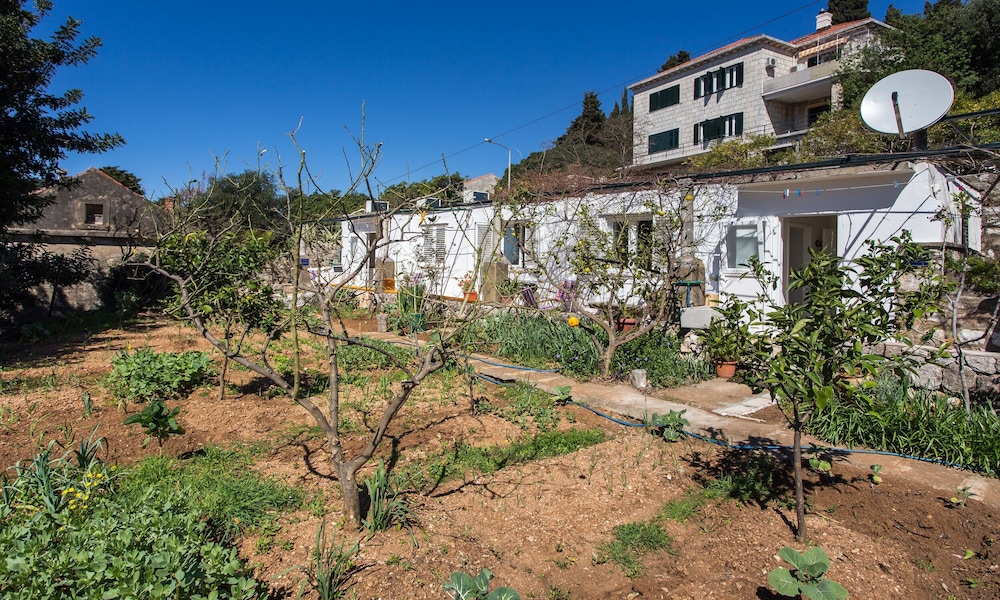 Apartments Ljubimir