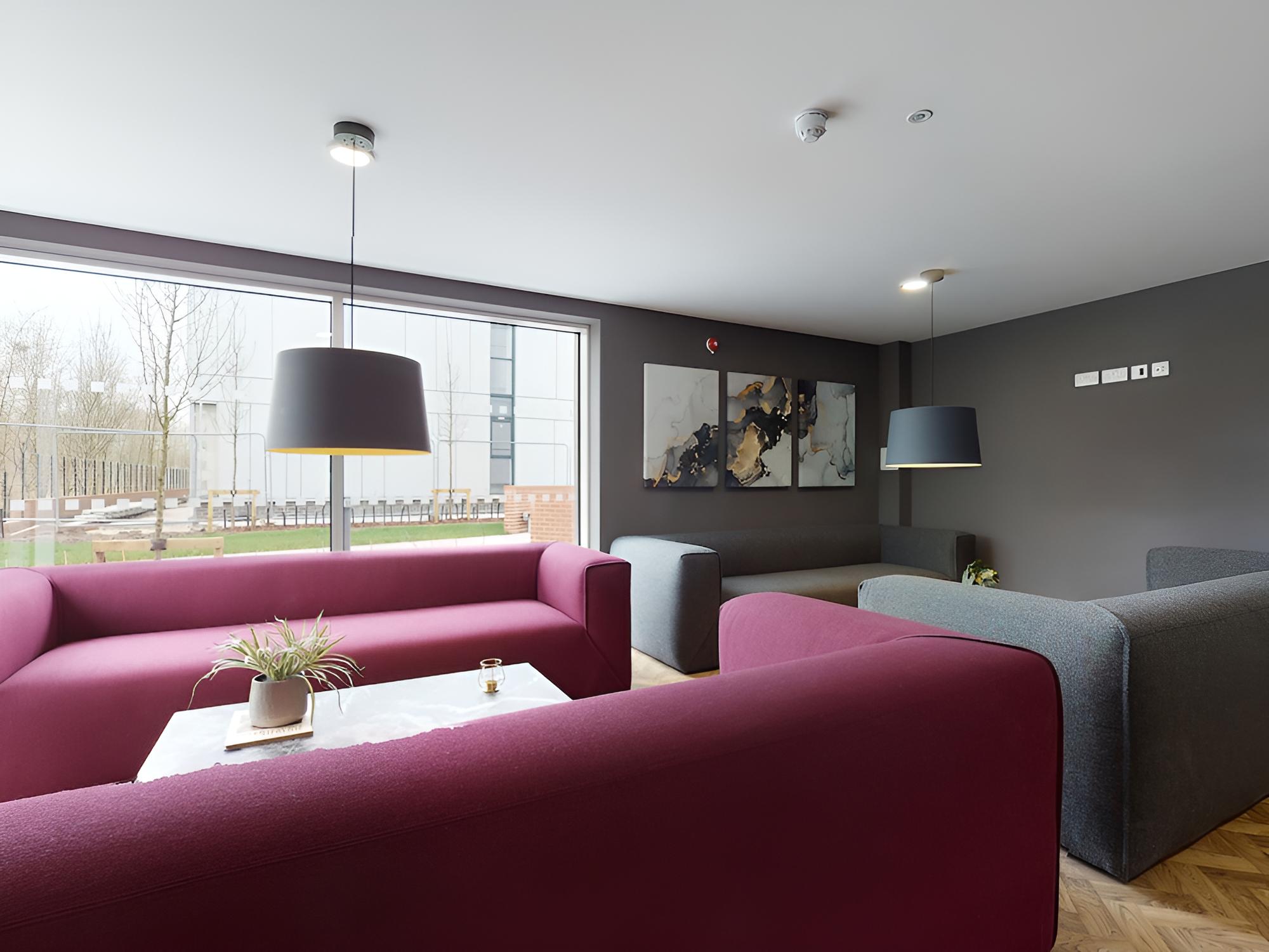 Gorgeous Studios - NEWCASTLE UNDER LYME - Campus Accommodation view 2