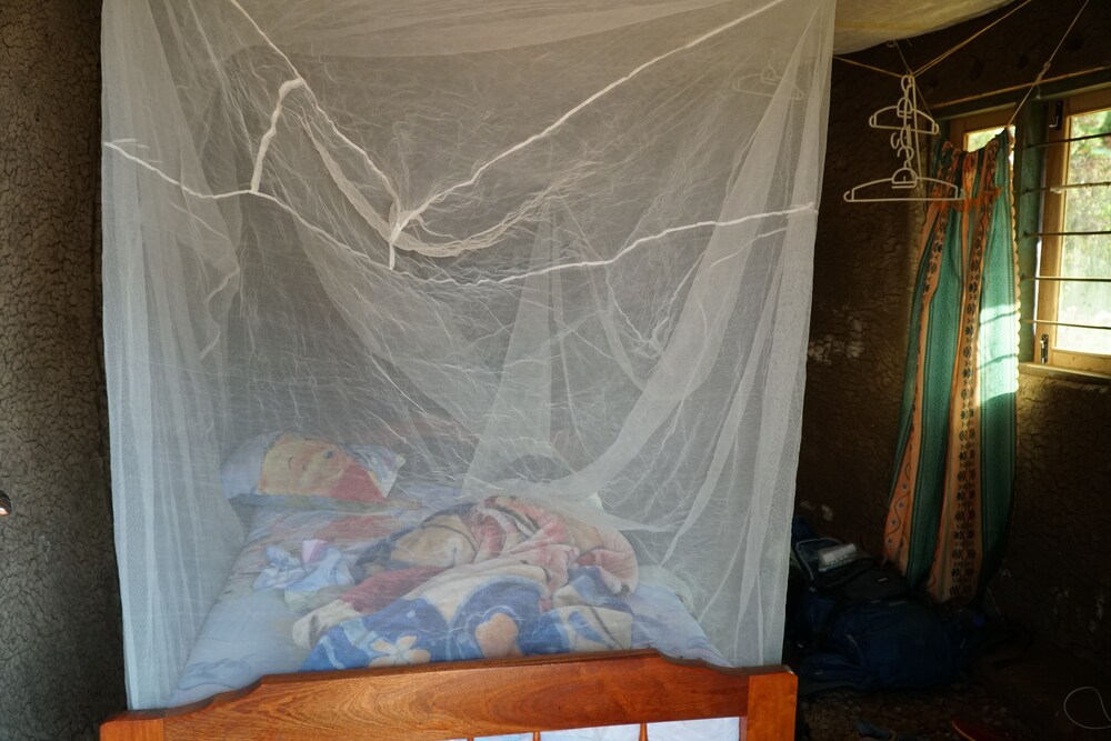Eco-Agric Uganda Cottages
