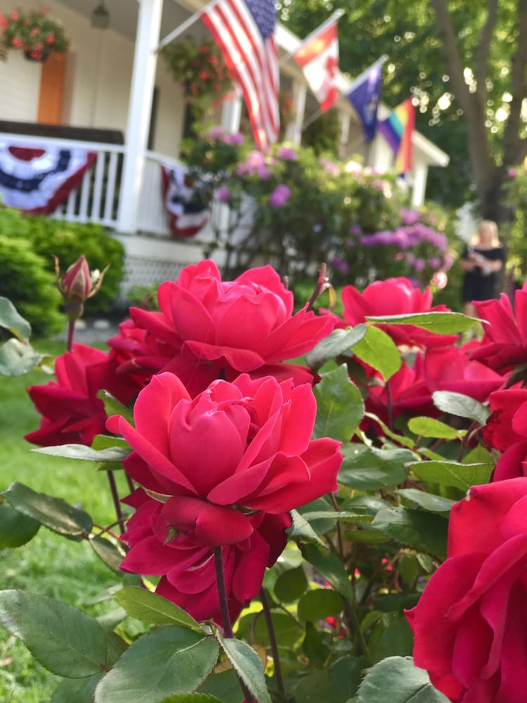 Bourne Bed and Breakfast