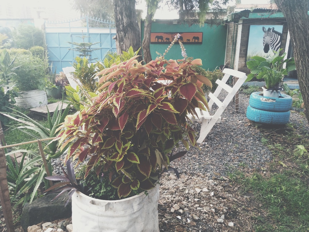 Photo 18