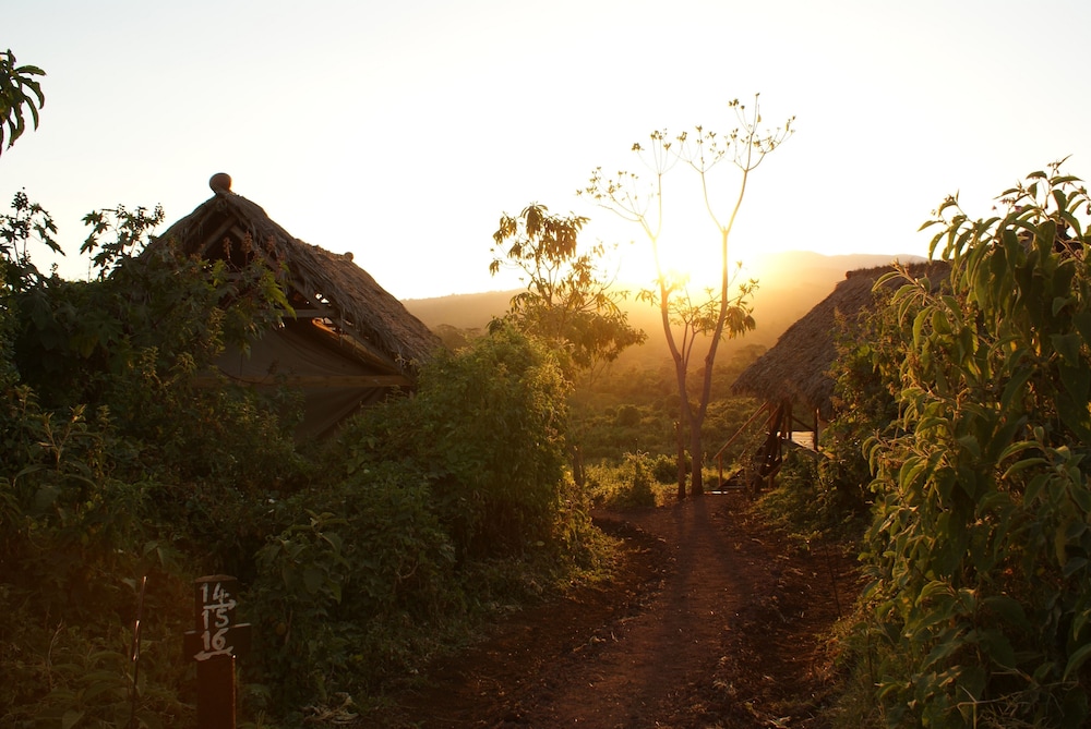 Crater Forest Tented Lodge view 4