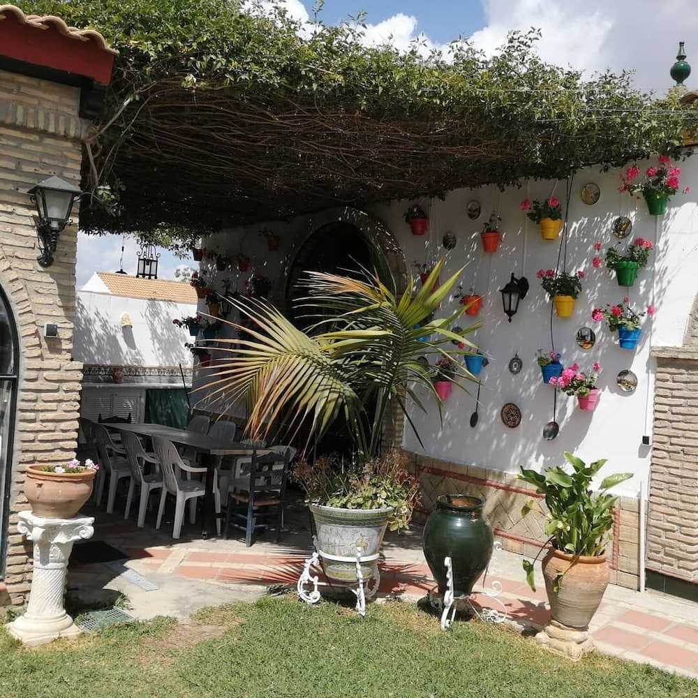 Spectacular Rural House 25 Km From Seville view 4