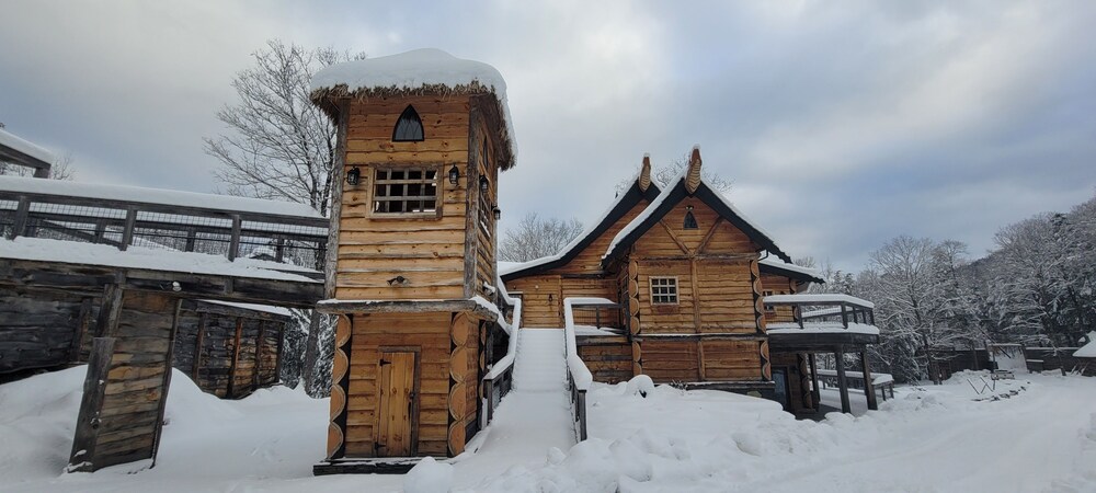 Photo 53
