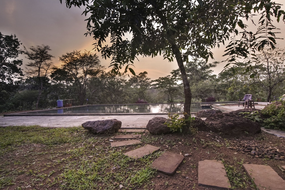 Dudhsagar Plantation