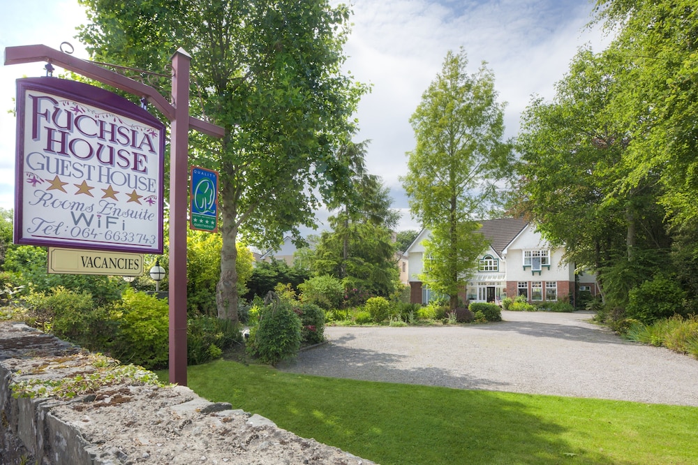 Hotel Fuchsia House - Image 1