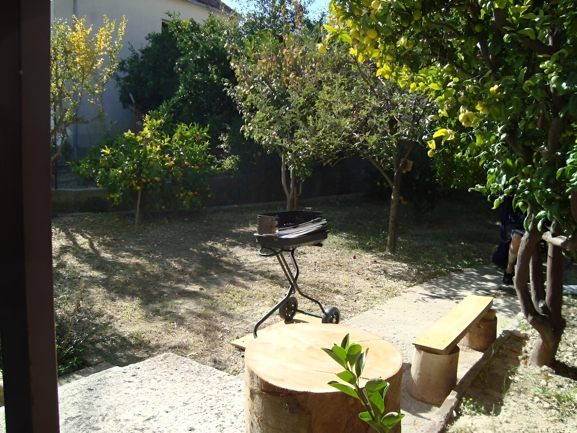 Photo 18