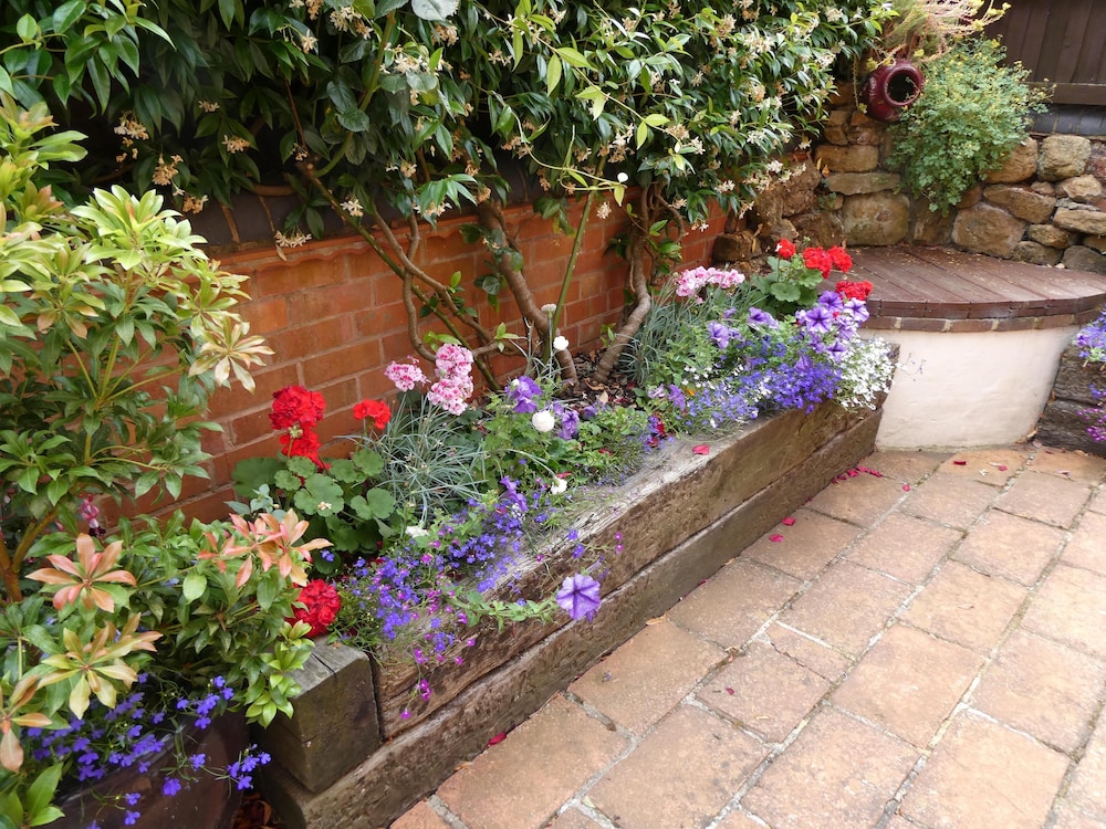 Photo 23