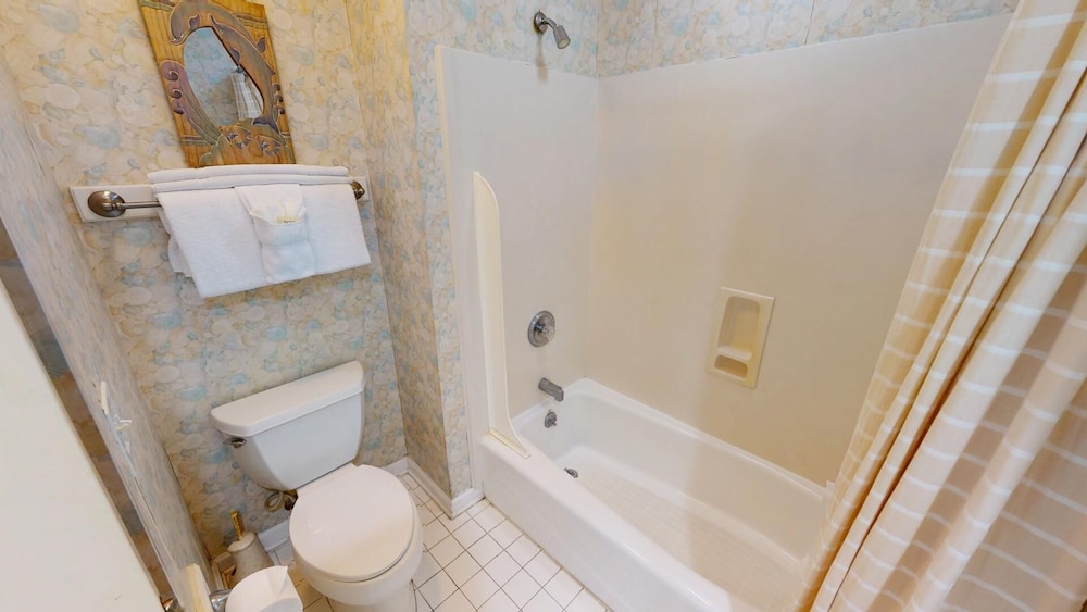 Dolphin Watch Tybee Vacation Rentals