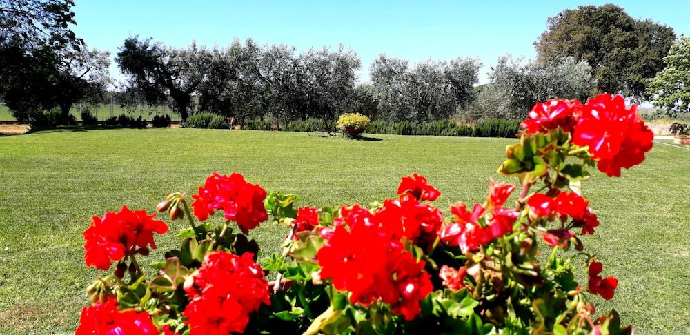 Agriturismo Monte Argentario