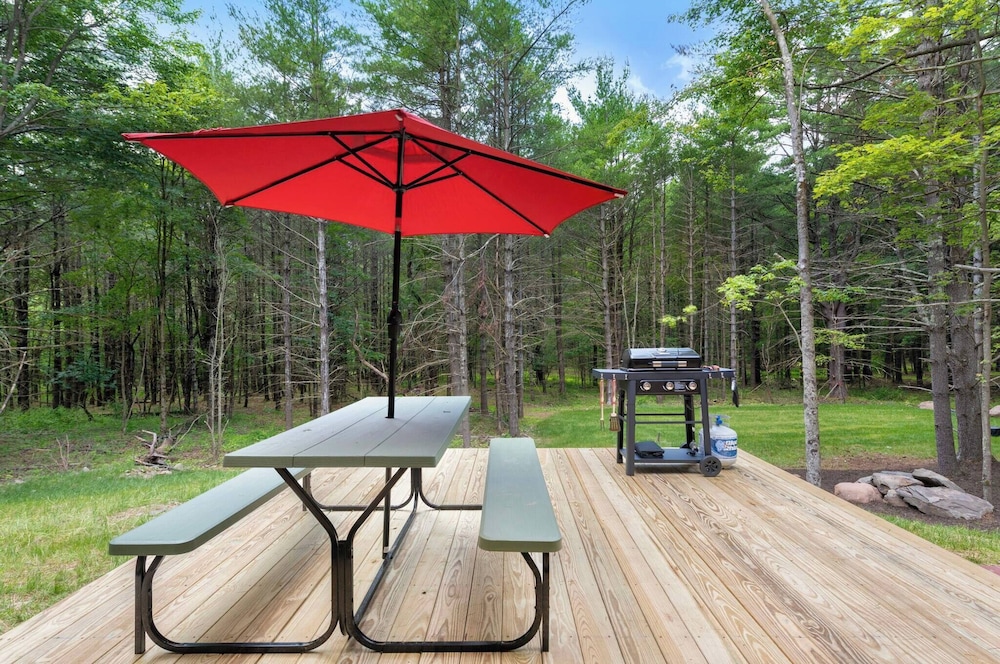 100ft of Forest Light - Modern Catskills Escape