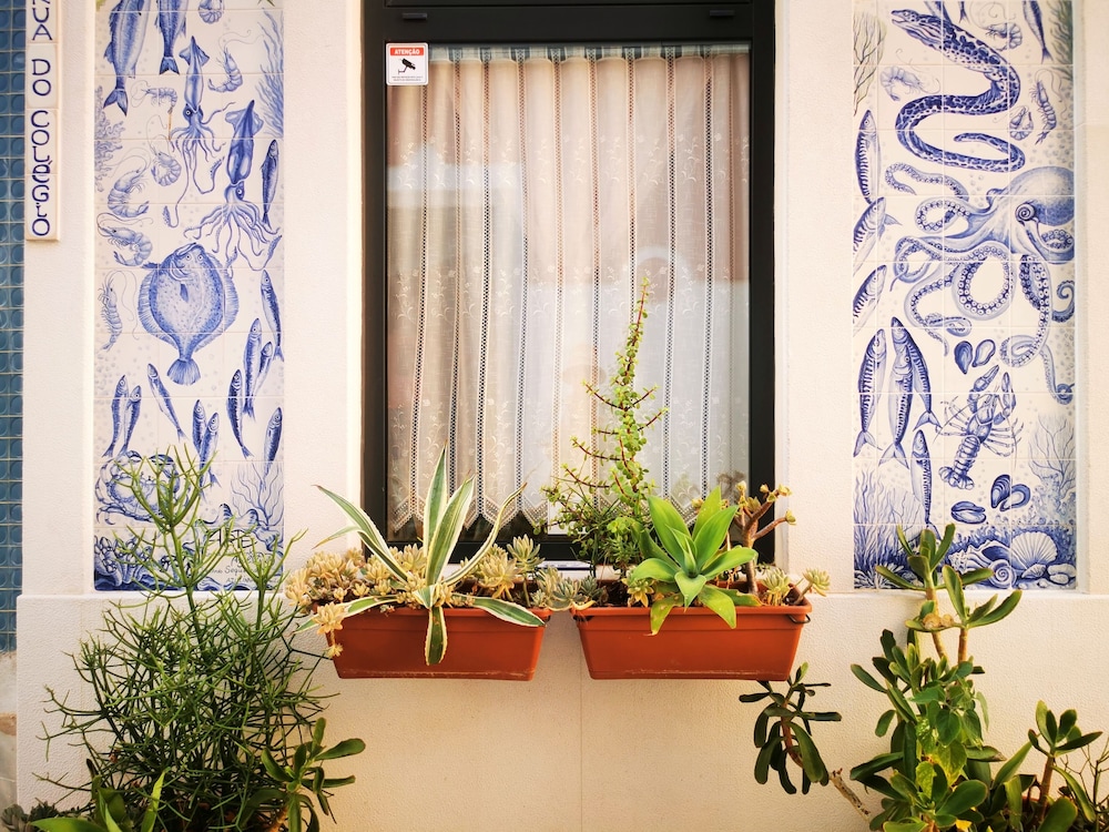 Frutas do Mar apartamento view 3