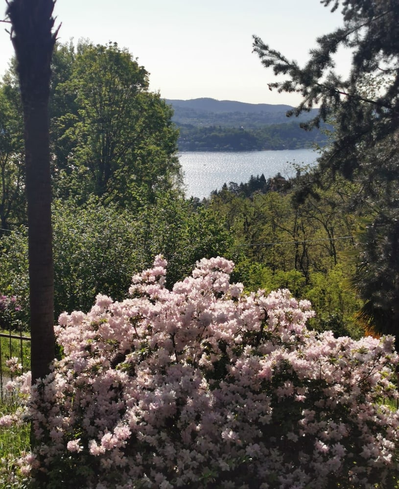 Swanlake Rooms