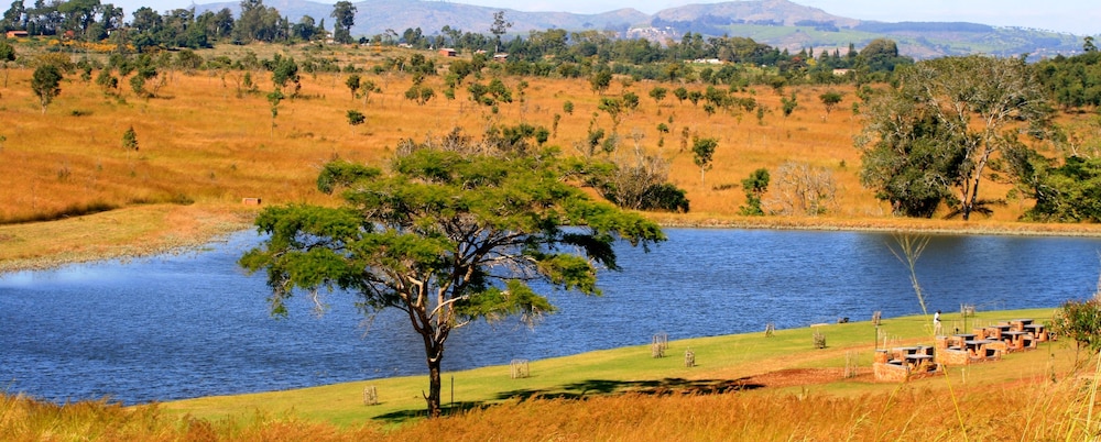 Game Haven Lodge