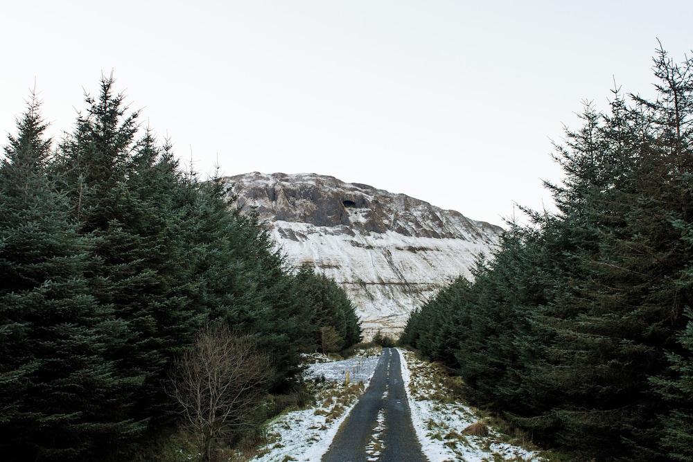 Photo 40