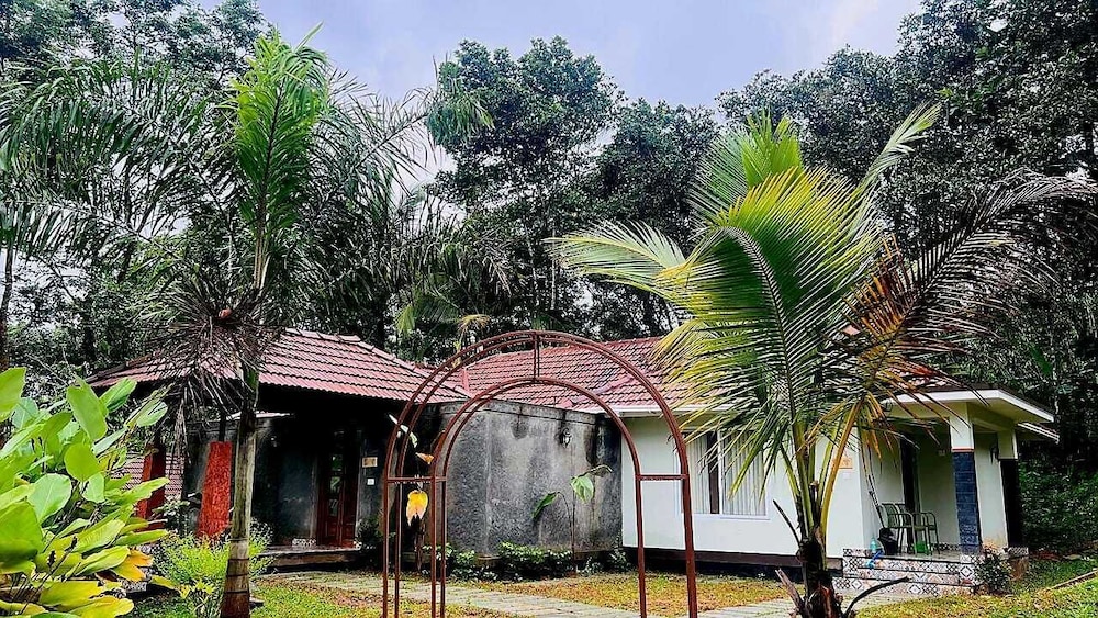 The Village Vista
