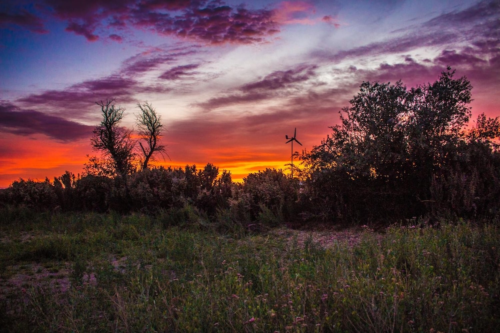 Sol del Desierto