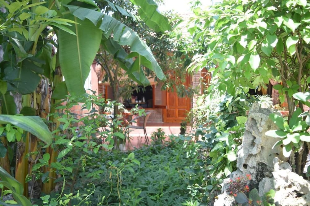 Van Long Family Homestay