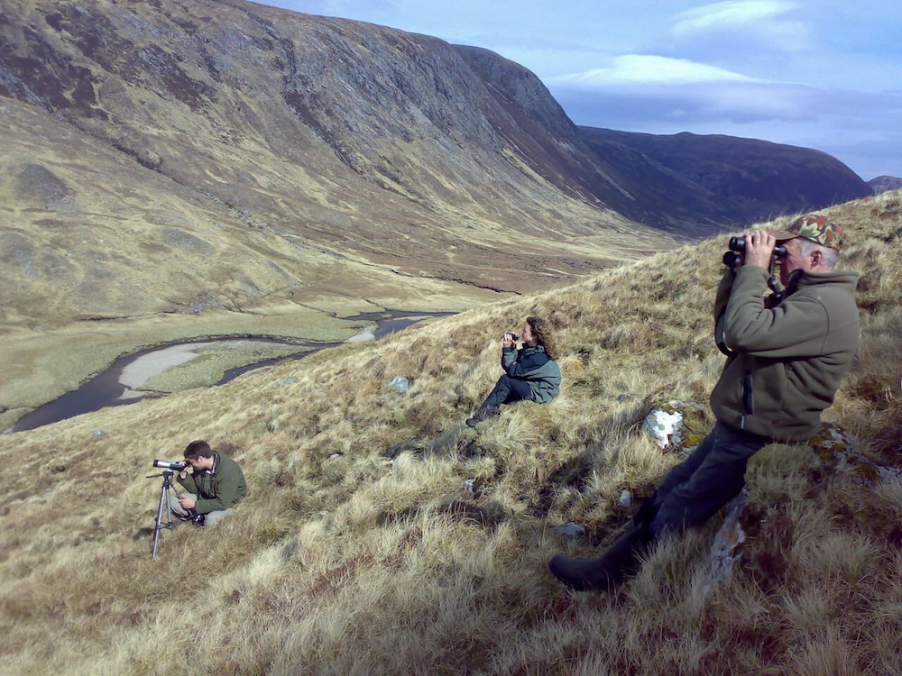 Alladale Wilderness Reserve