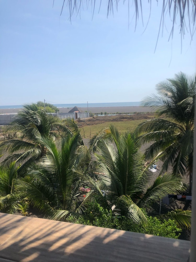 Birds House, Puerto San Jose