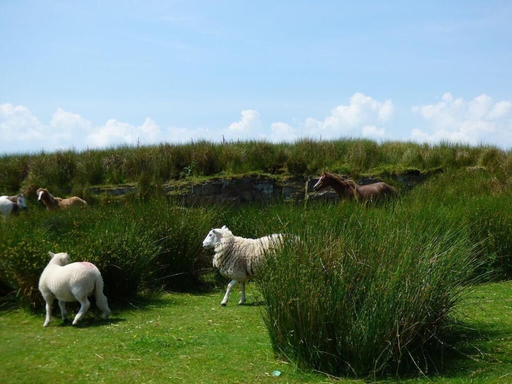 Swansea Vacations - Old Tredegar Arms - Property Image 4