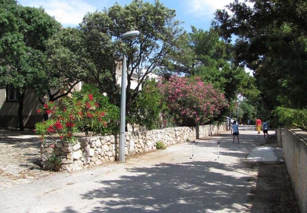 Photo 32