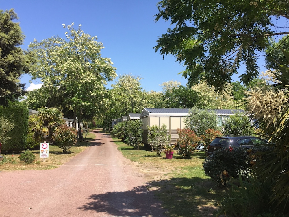 Camping Le Sous Bois, 사진 55