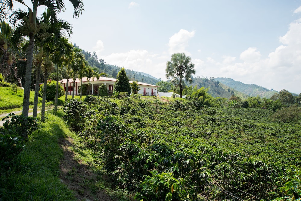 Hacienda Venecia Main House & Coffee Lodge