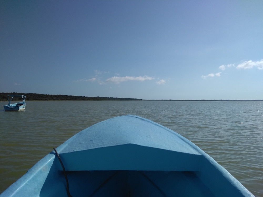 Photo 21