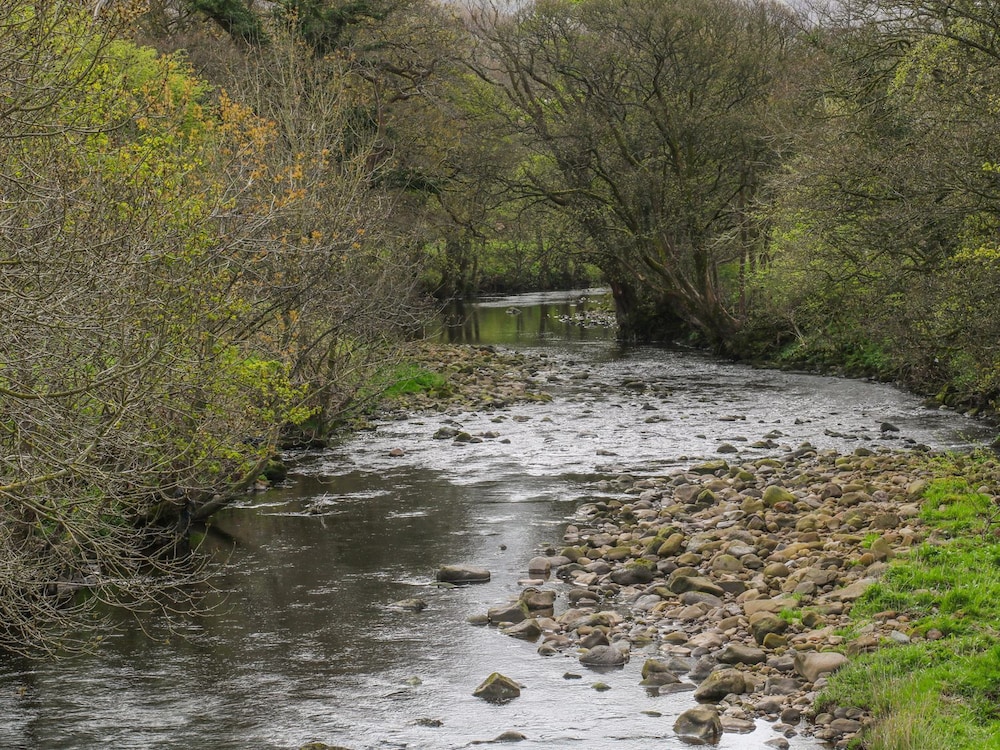 Photo 22