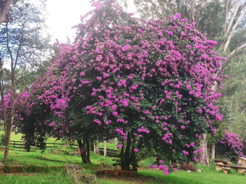 Hotel Fazenda Vale Formoso