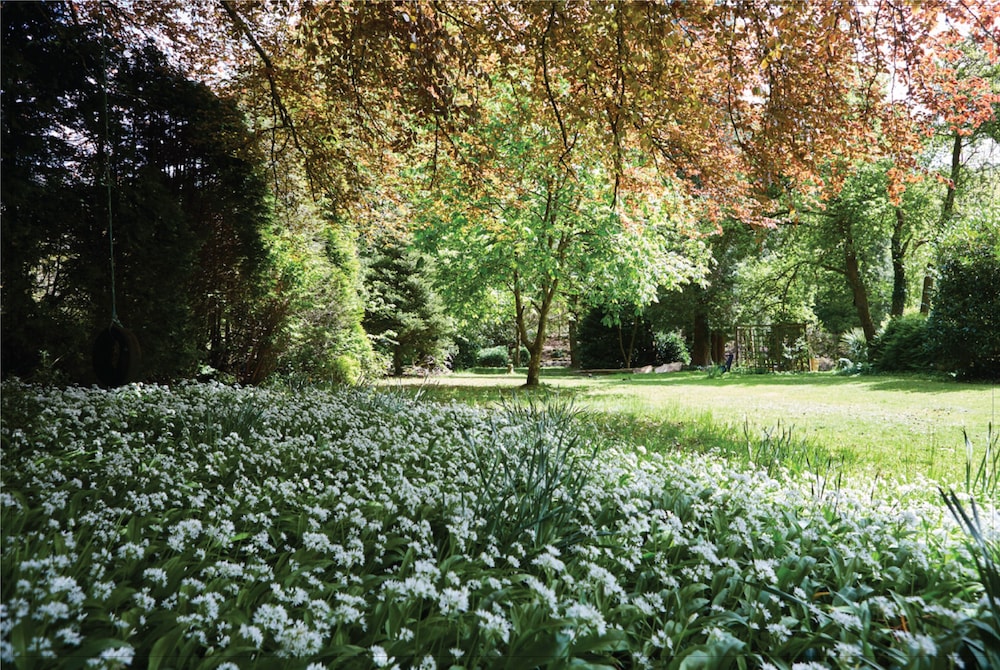 Afon Rhaiadr Country House