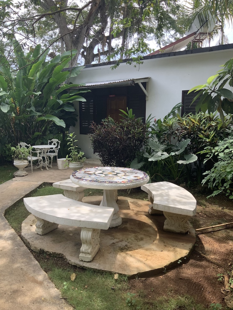 Yoga Dreams Negril