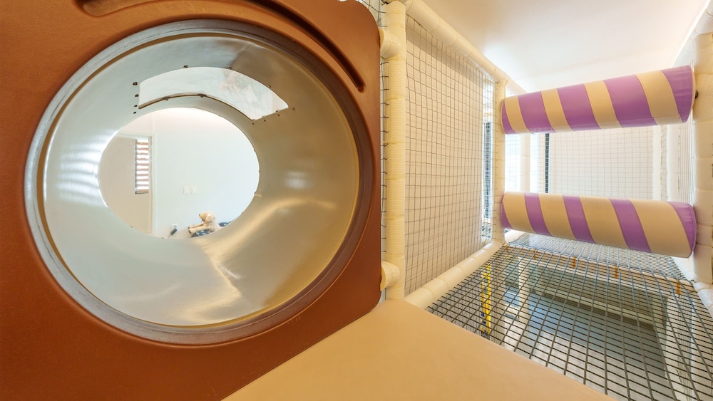 Gyeongju Ain Kids Pool Villa