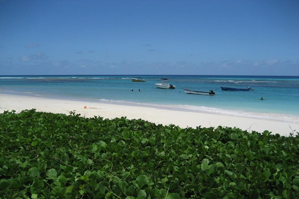 Beachfront Cosy And Romantic Condo - Nautilus 1 Bedroom Apts by Bluescape