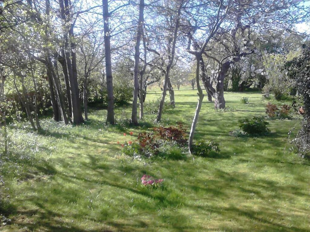 Møn Økologisk B&B