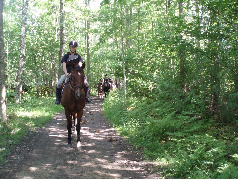 Tingsryd Resort