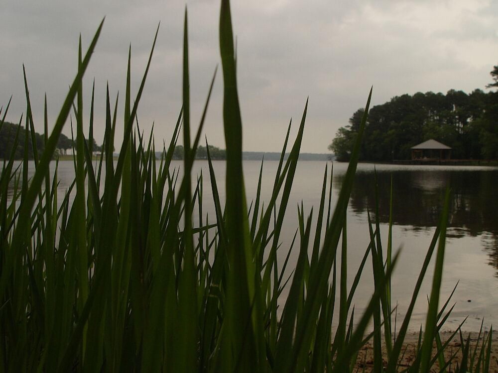 Frankston Home W/deck Fishing on Lake Palestine! - Property Image 26