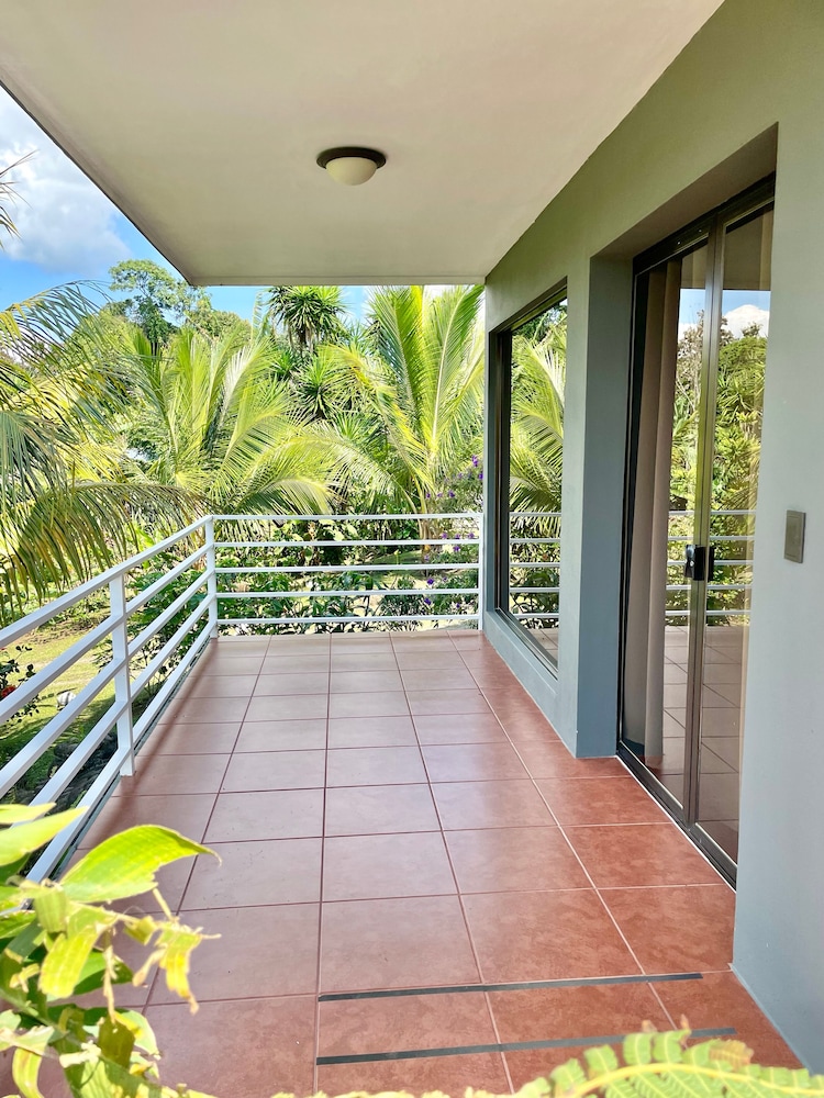 The Fruit Tree Garden Bromeliad Suite