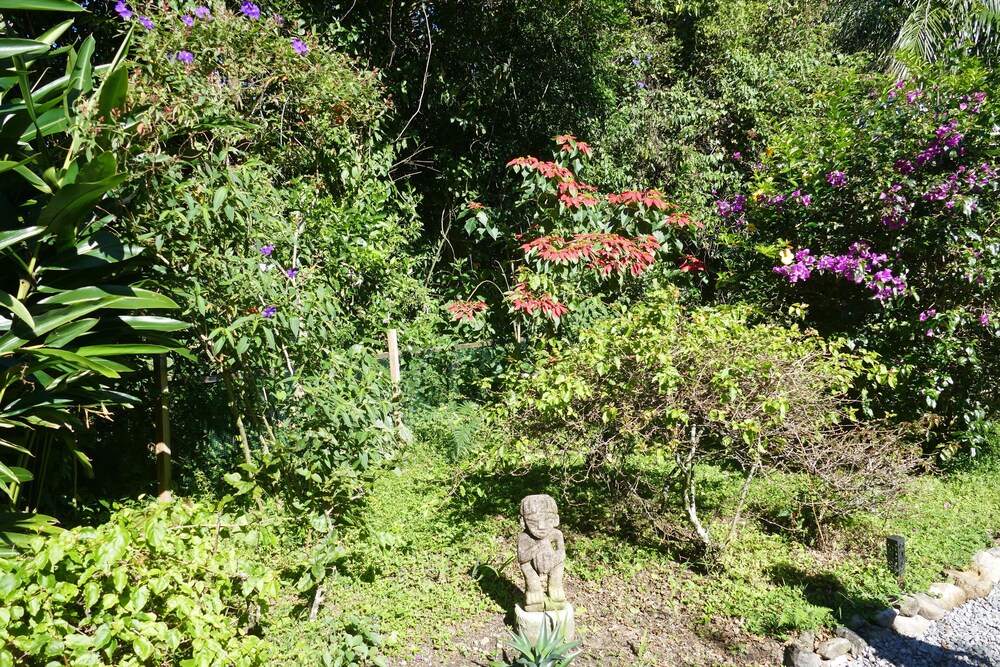 Photo 47
