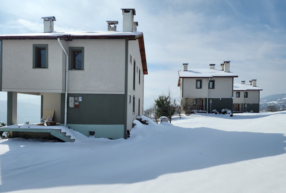 Photo 23
