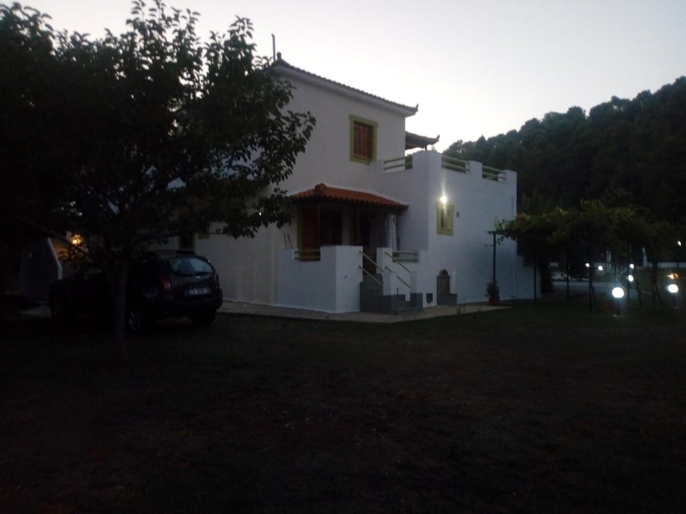 Photo 21