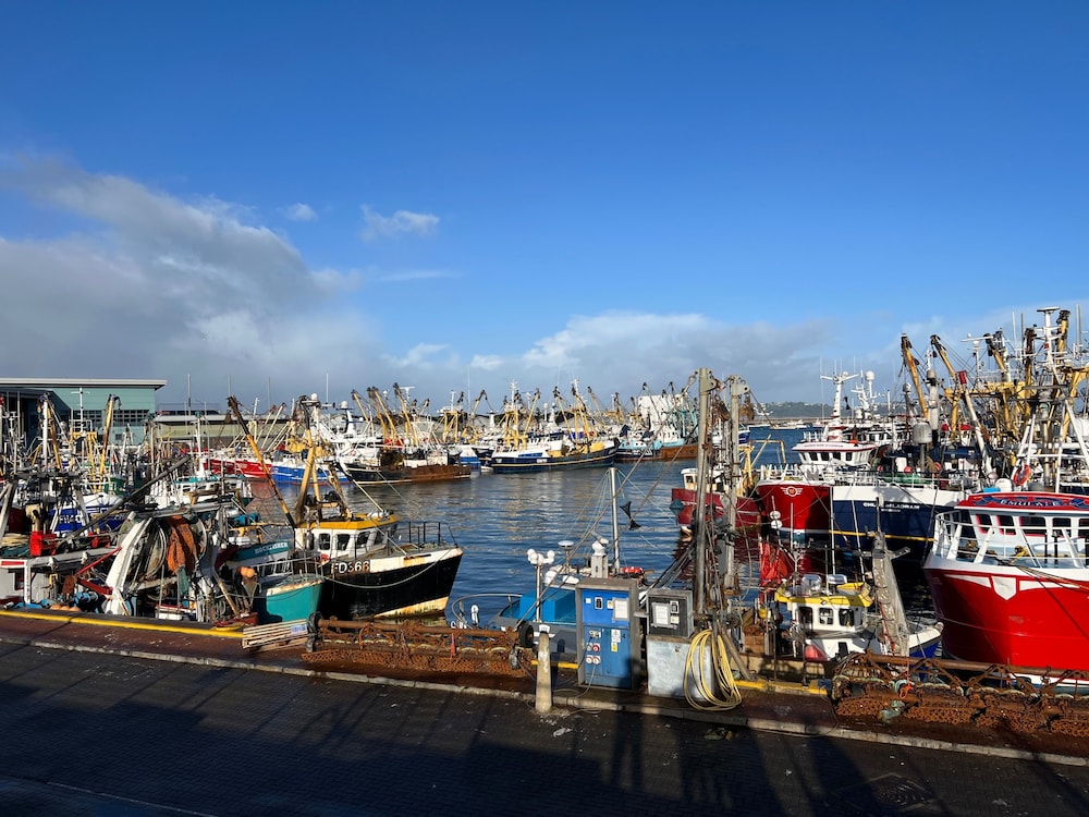 Dog Friendly Brixham Cottage, 3 Minutes to Harbour