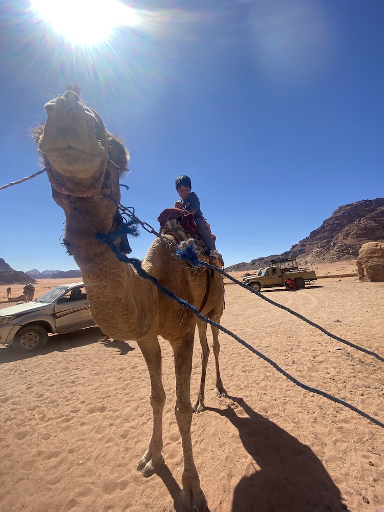 Wadi Rum Sky