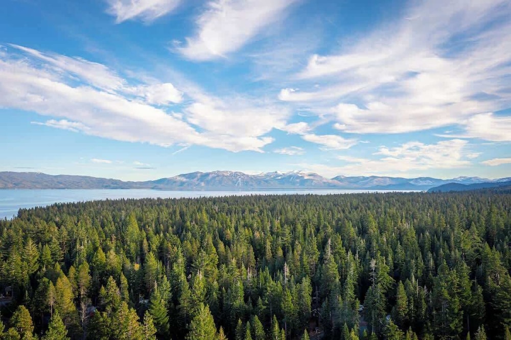 Cozy Tahoma Cabin in the Pines Sleeps 6 + Pets