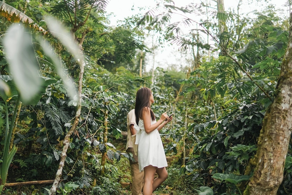 Munduk Moding Plantation Nature Resort 41
