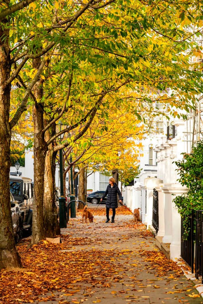 Kensington High Life- by Out of Office Lifestyle