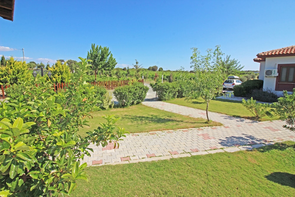 Karina Vineyard Evi - Image 11