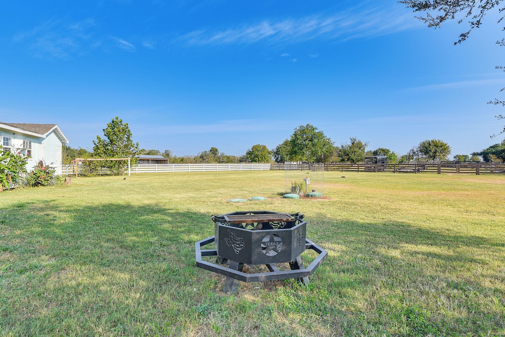 Farm Animals On-site: Needville Ranch Getaway!