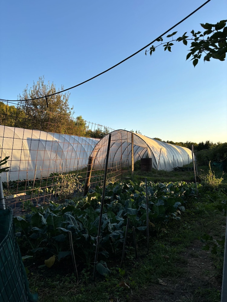 Agriturismo Prisma